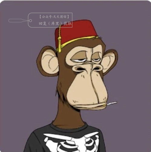 库里十八万美金头像泛生二铛既有十八万美金的感觉又与大众不同,热头像