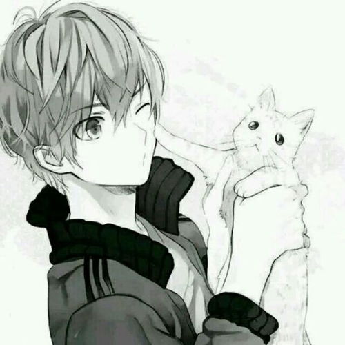 求黑白的动漫头像男生的带猫的高悬赏有我满意的就采纳
