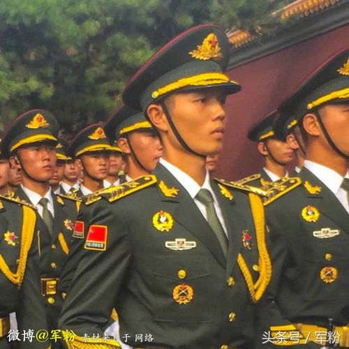 帅哥都上交给国家了我的中国军人