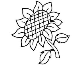老师卡通头像女简笔画野菊花