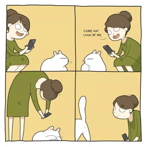 猫的卡通图片头像猫奴