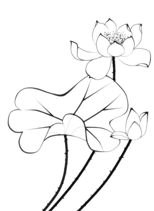 讲经心慧法师讲如何利益众生三与乐拔苦称慈悲