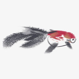 金鱼png矢量素材图片免费下载高清卡通手绘psd千库网图片编号7021073
