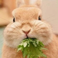 逗比恶搞情侣头像一左一右