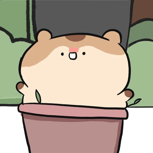 一批个性微信头像
