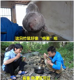 今天就来告诉你什么是欲吃之罪何患无辞想吃你才是认真的