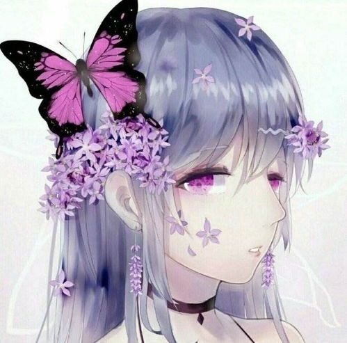 哔哩哔哩专栏