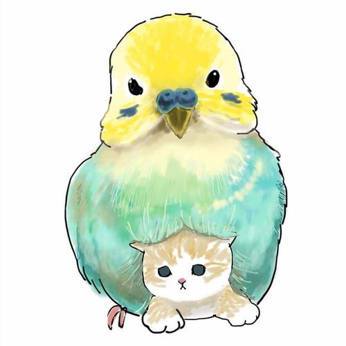 漫画小揪揪带奶猫,二次元版小揪揪孵奶猫
