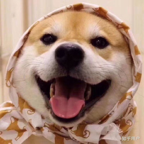 笑话