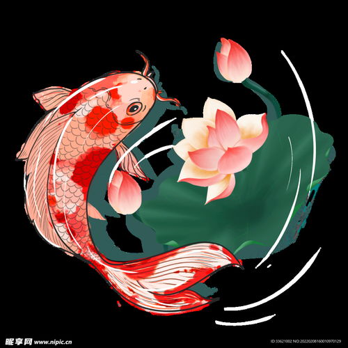 锦鲤金鱼插画国潮素材
