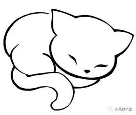 一学就会猫的多个画法,教你在纸上养个主子最后一波