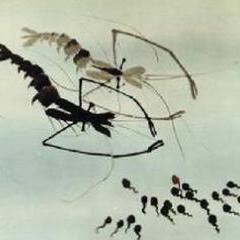 水墨动画