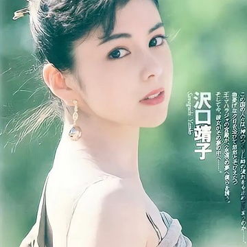 我的收藏