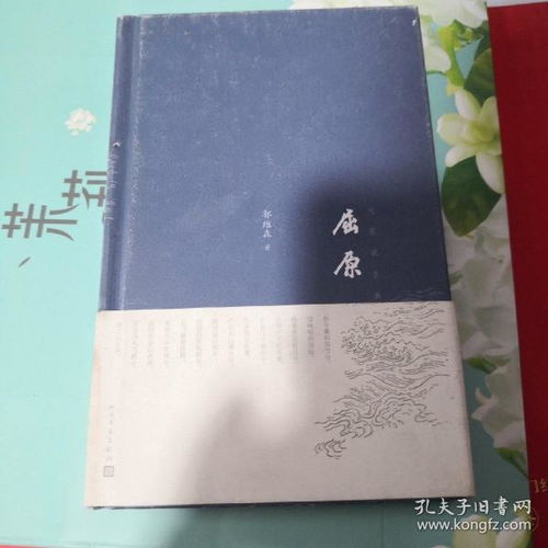 文学鸿鹄之梦书房孔夫子旧书网