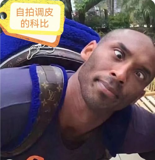多样化的科比图片