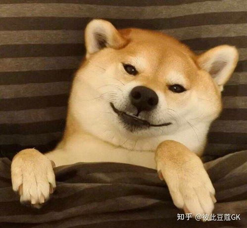 kai金钟仁和jennie能走多长时间