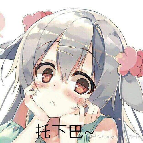 物质有哪些状态